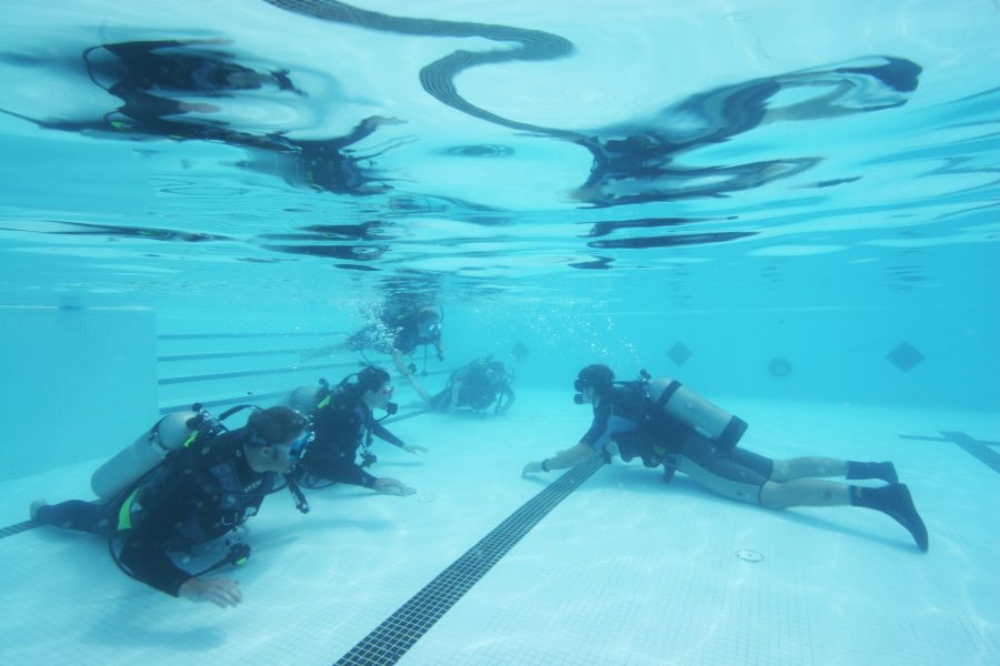 Scuba+diving+students+test+out+equipment+in+the+pool+during+certification+training+in+the+Bahamas%2C+similar+to+what+UMass+Boston+students+will+do+in+the+Clark+Athletic+Center+pool.+Photo+courtesy+of+Jeff+Toorish%0A