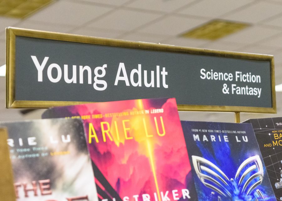 The+Young+Adult+section+in+a+Barnes+%26amp%3B+Noble.