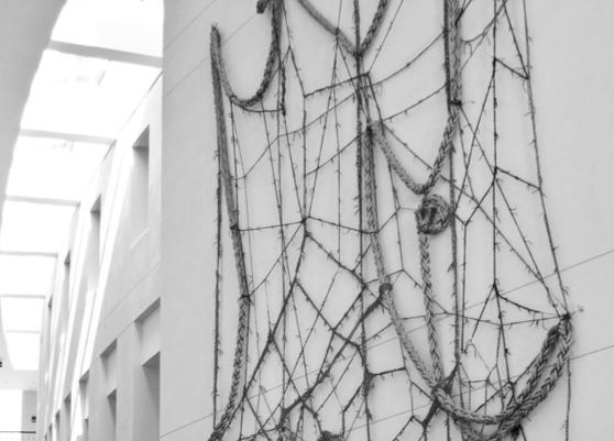 Avant-Garde Spider Spins Web on Campus Center Wall