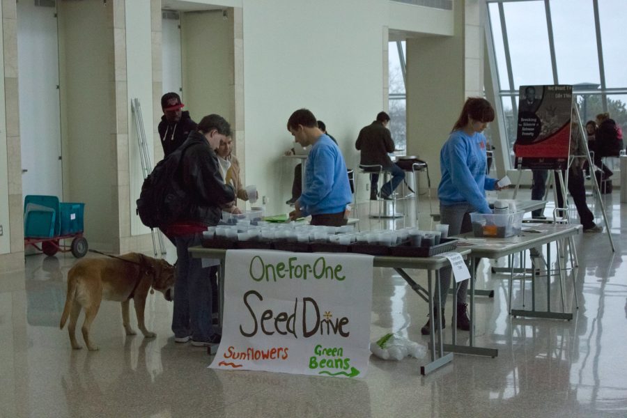 Students participating in the seed drive planted sunflower and green bean plants for the Dever-McCormack School, Walter Denny Youth Center and the Boys and Girls Club of Dorchester.
