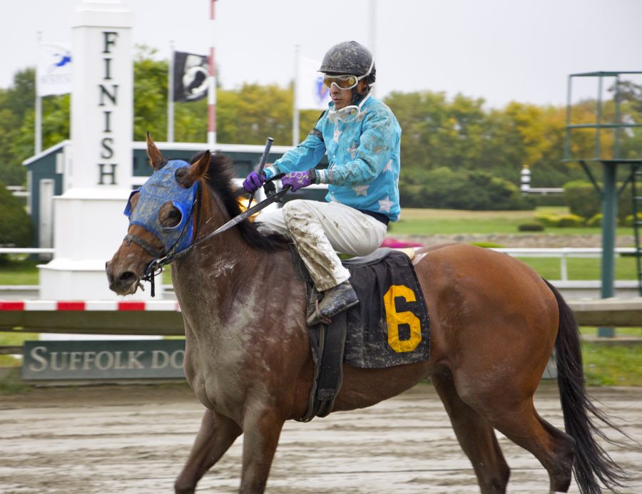 A horse in one of the last races at Suffolk Downs