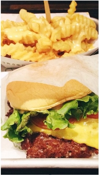 Shake+Shack+Shack+Burger+and+Cheese+Fries