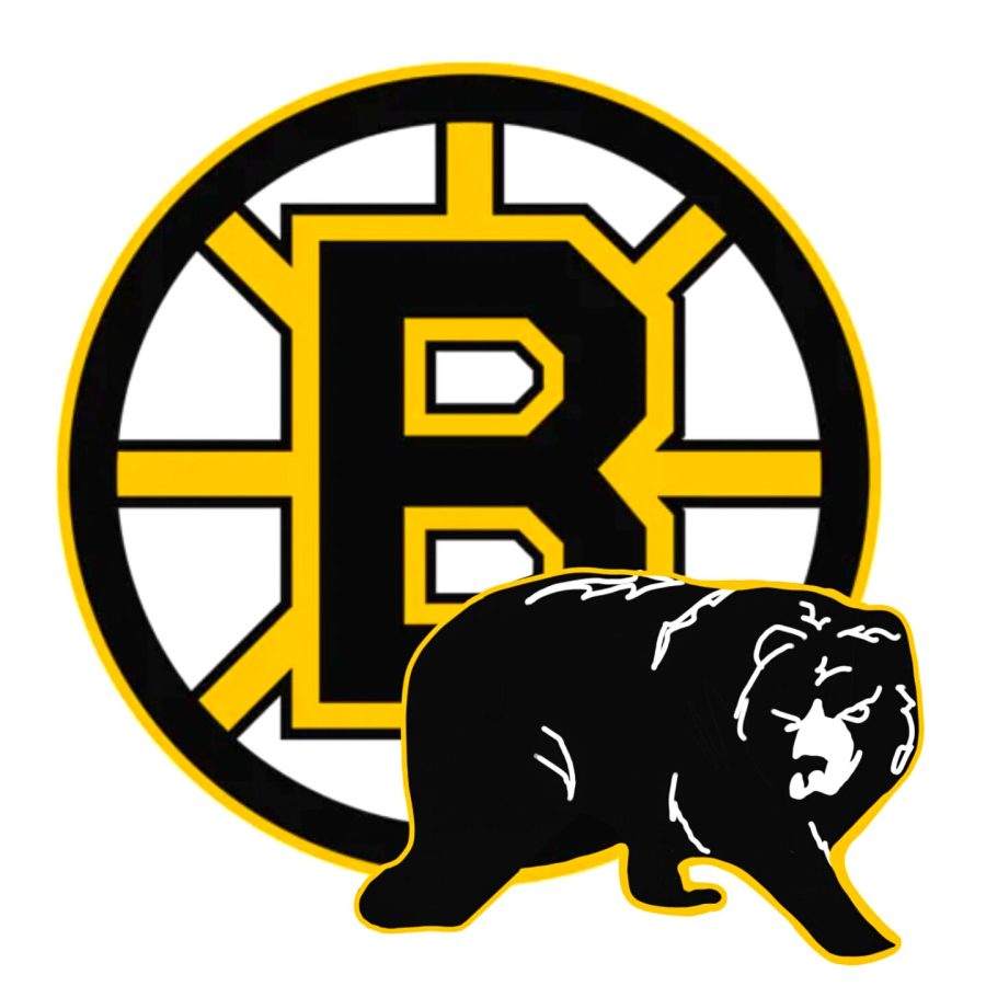 Illustration of Bruins logo.