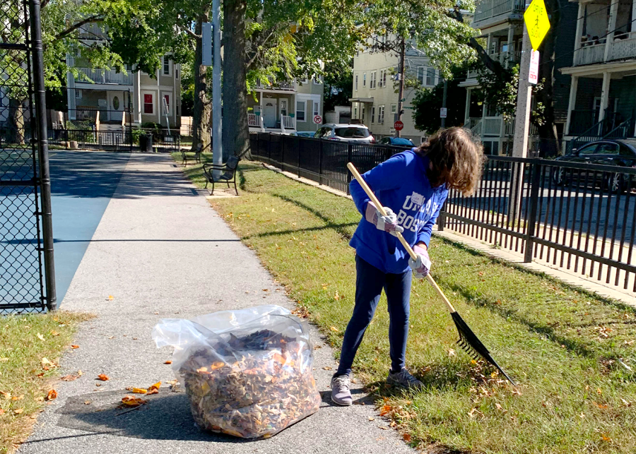 Volunteer Caitlin Stano rakes leaves in the Rev. Loesch Family Park on Saturday with the rest of her Codman Square team.