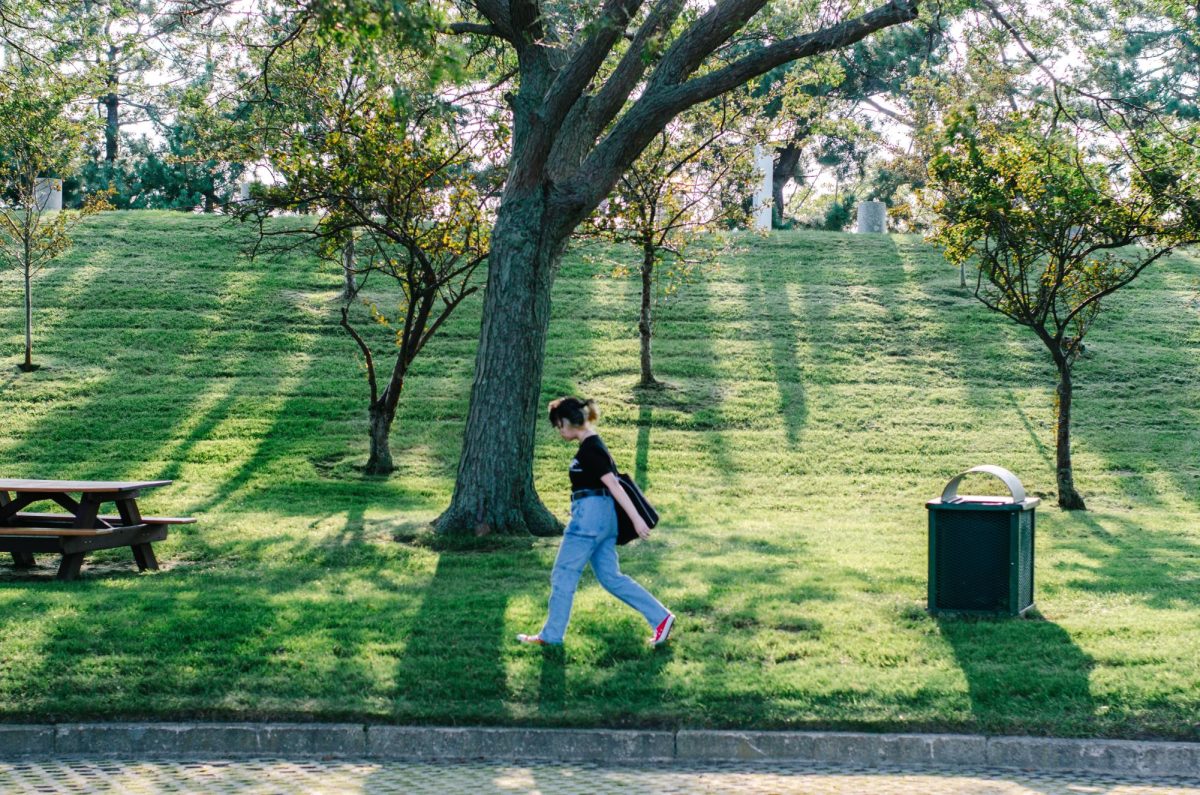 A student strolling through nature. 