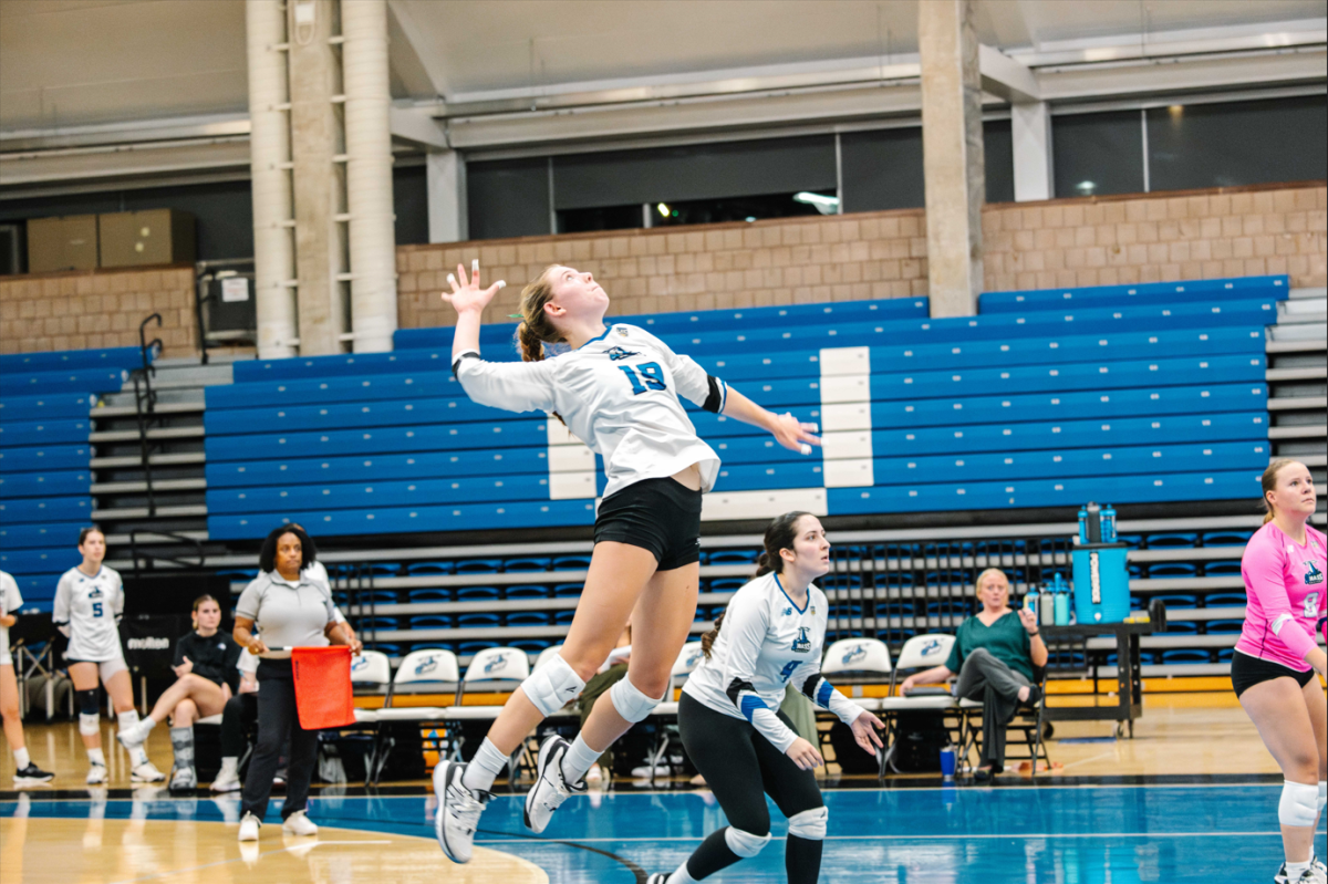 Women's Volleyball: Mary Denny (#19) powers a spike during the match.