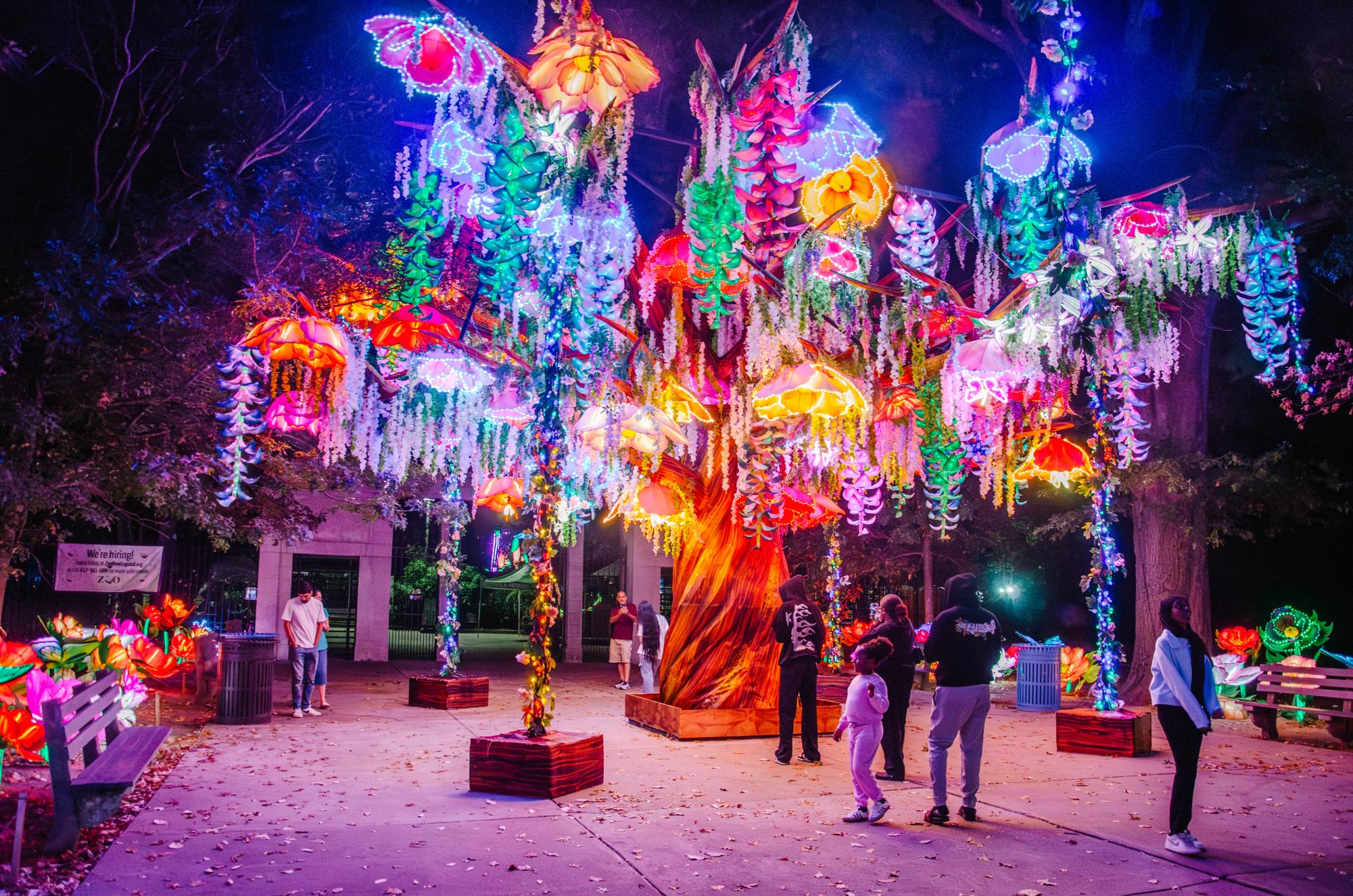 Franklin Park Zoo brings a new take on connecting with nature through its light show running in the month of Oct.