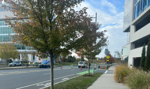 The UMass Boston Police Department closed University Drive West while they documented the crash scene.