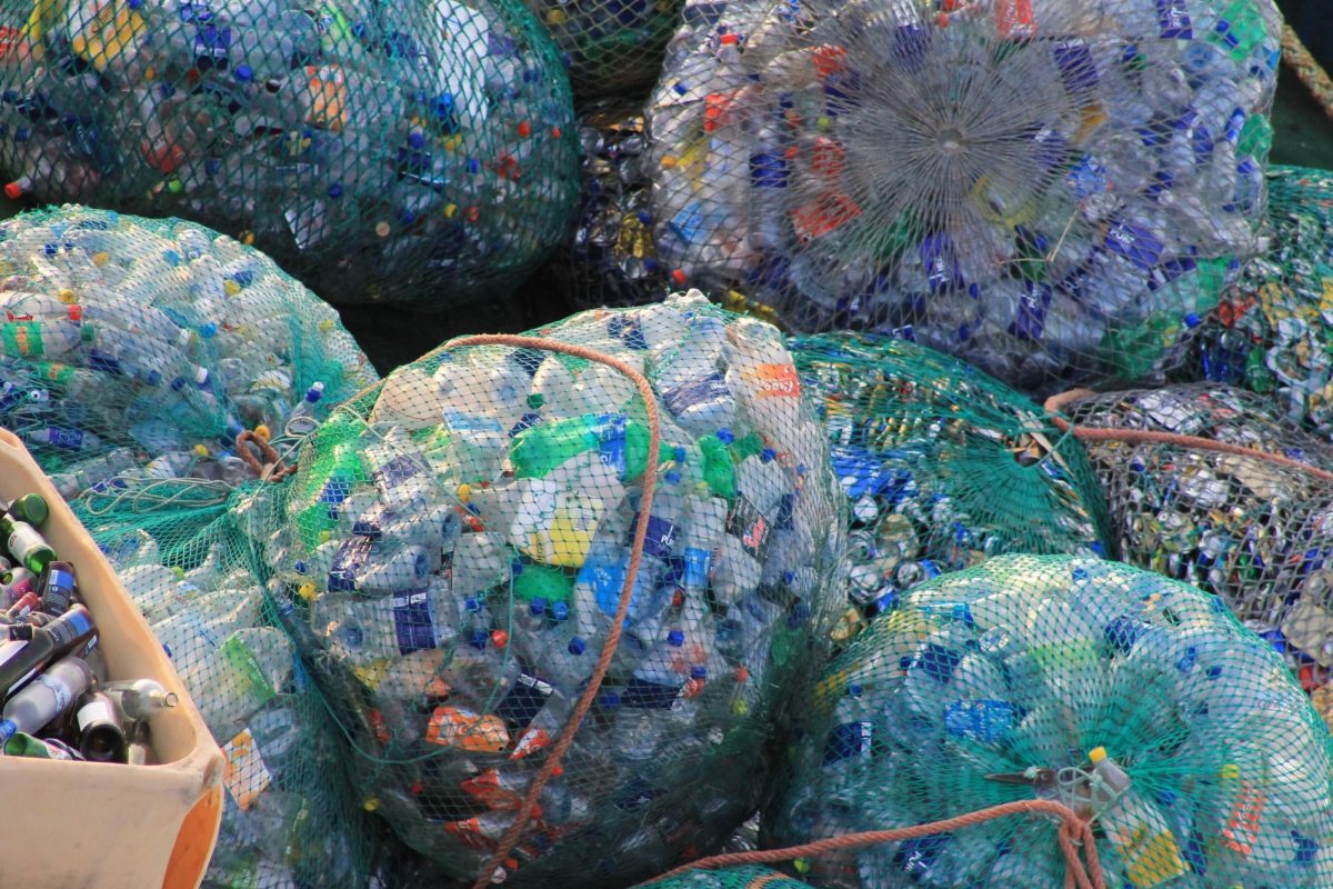 Plastic waste is one of the biggest contributors to habitat loss and environmental contamination. Photo via Creative Commons. 