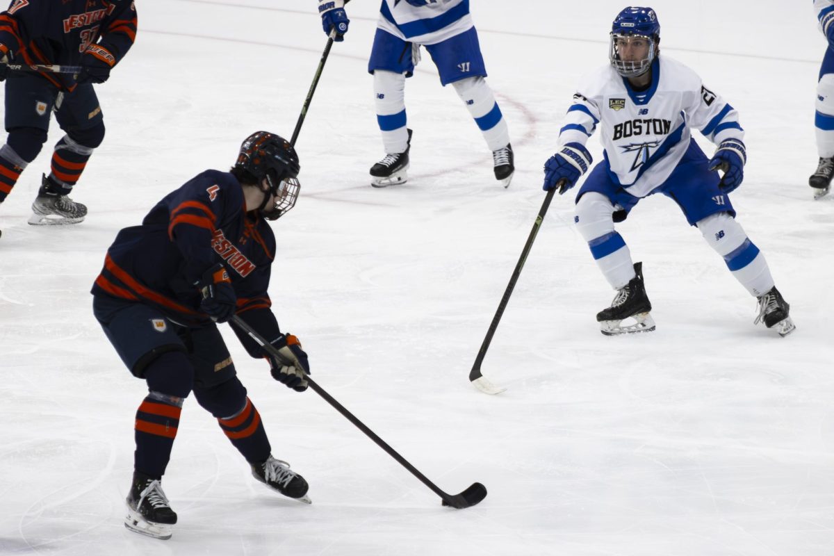 Men's hockey against West Connecticut Feb. 21.
