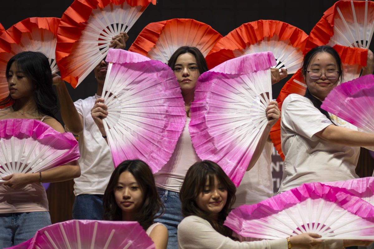 VSA Culture show with traditional Viet performances.
